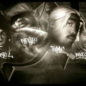 Meet your Posher, Luis